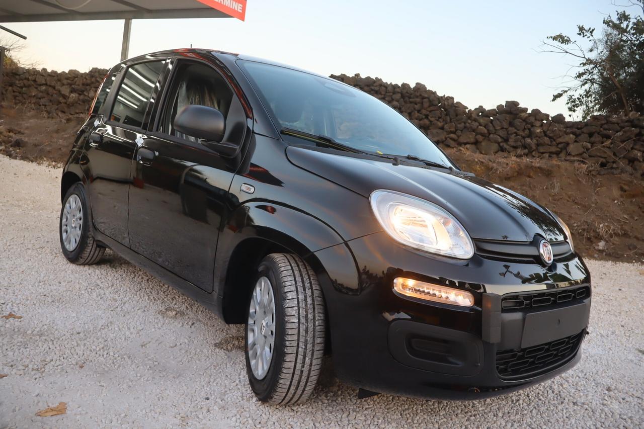 Fiat Panda 1.0 Tua A SOLI 185€