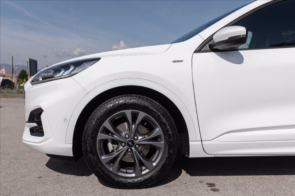 FORD Kuga 1.5 ecoblue ST-Line 2wd 120cv del 2021