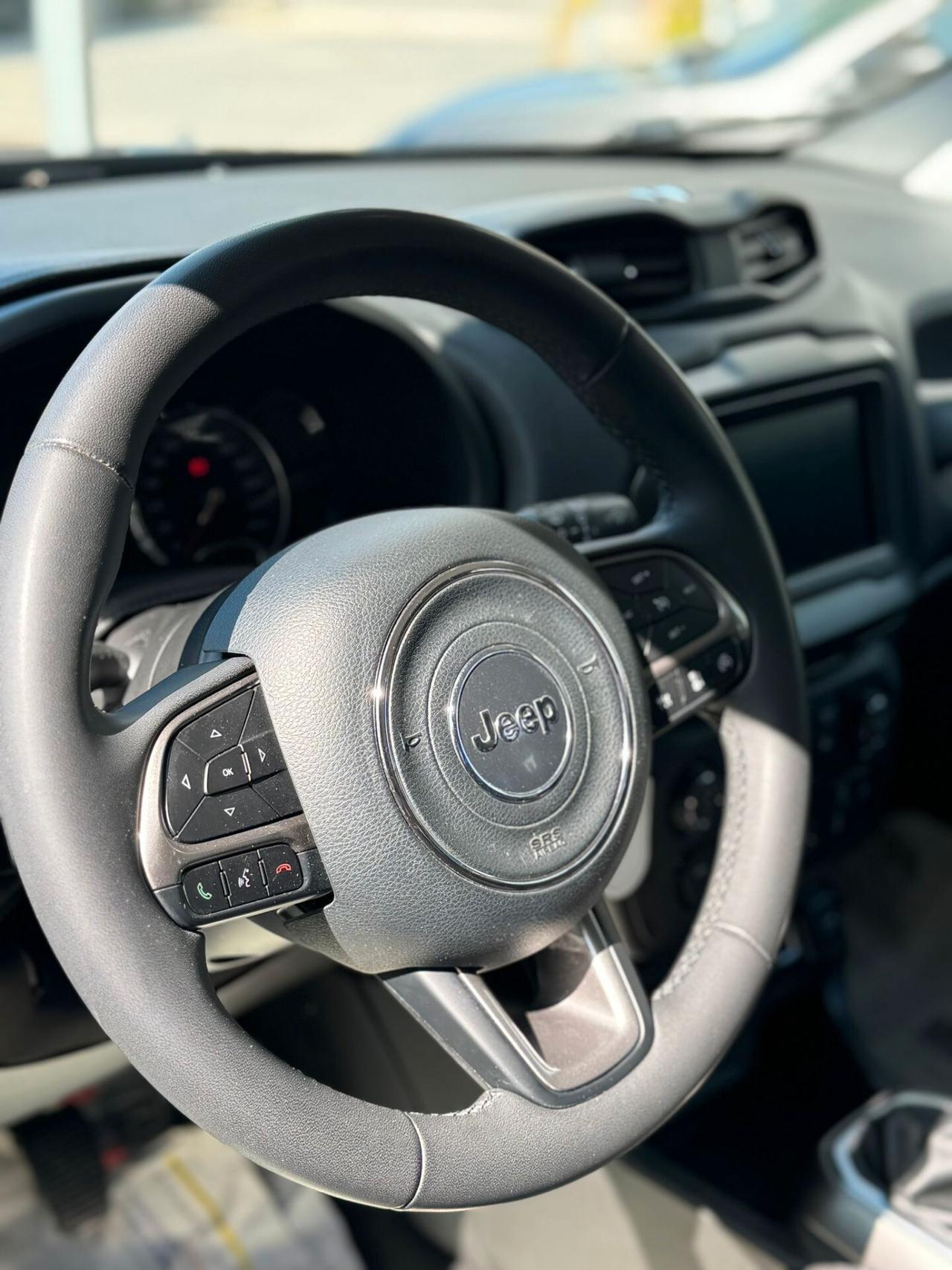 Jeep Renegade 1.6 Mjt 130 CV Limited, IVA ESPOSTA.