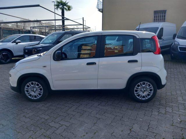 FIAT Panda 1.0 FireFly S&S Hybrid con ADAS Pack