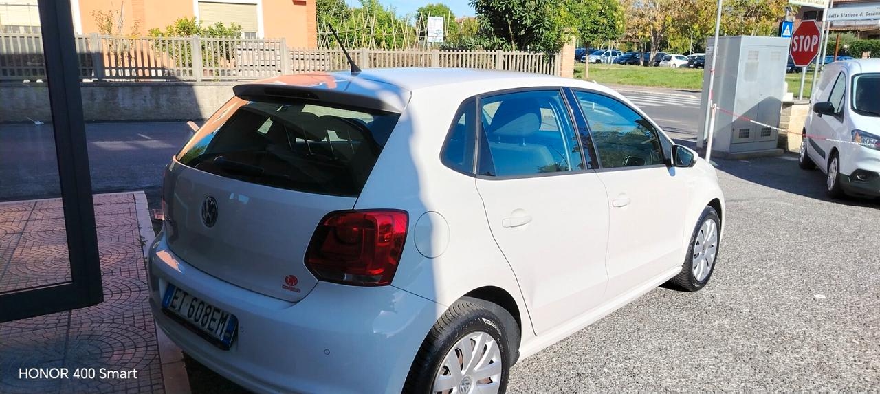 Volkswagen Polo 1.2 70 CV 5p. Comfortline