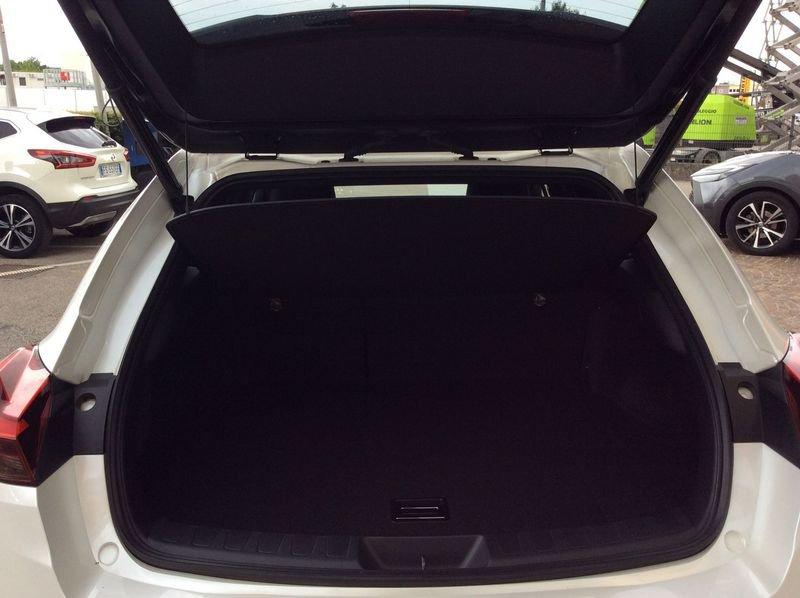 Lexus NX NX Hybrid 4WD Luxury