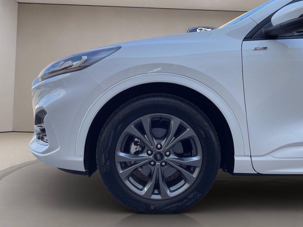 FORD Kuga 2.0 ecoblue ST-Line 2wd 120cv auto del 2024