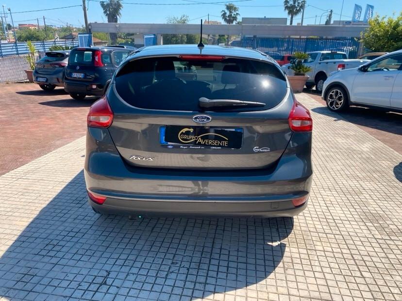Ford Focus 1.5 TDCi 120 CV Start&Stop Titanium X