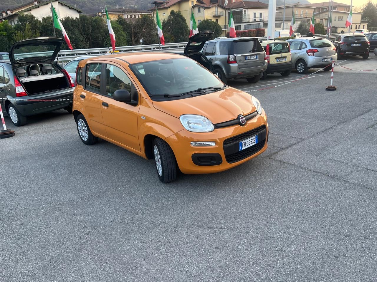 FIAT PANDA - OCCASIONE