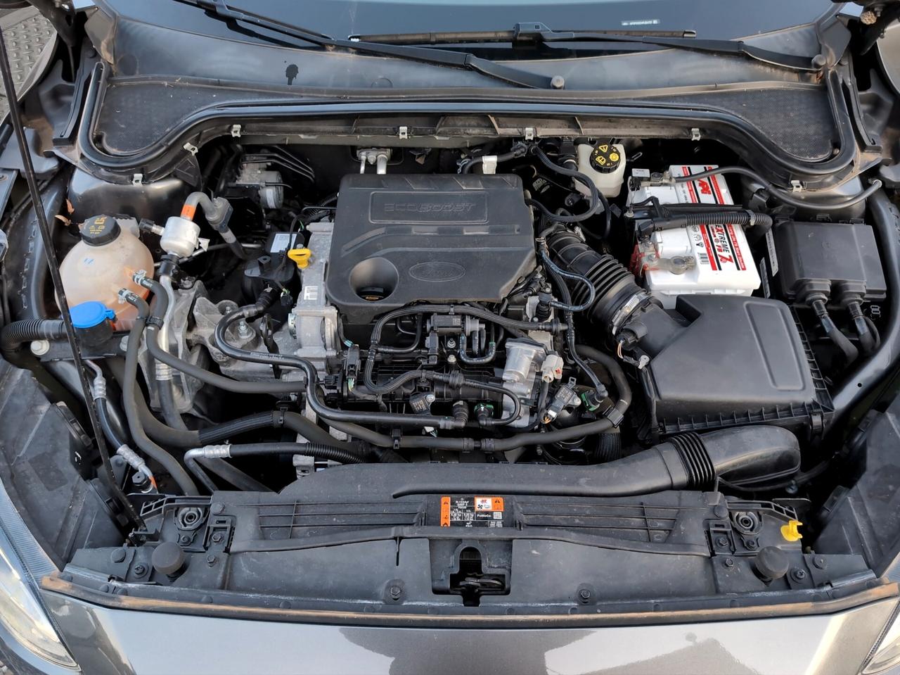 Ford Focus 1.0 EcoBoost 125 CV automatico SW Active Co-Pilot