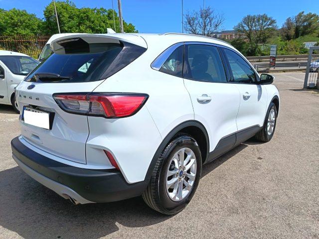 FORD Kuga 1.5 EcoBlue 120 CV aut. 2WD Titanium Business