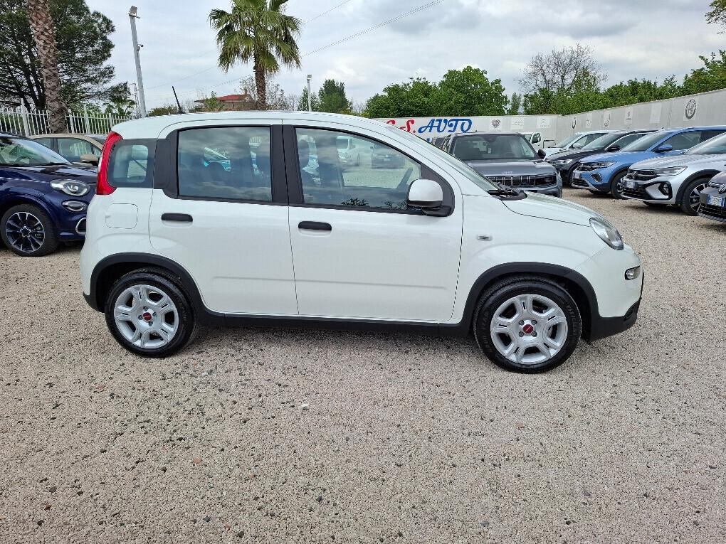 FIAT PANDA 1.0 FIREFLY 70CV CITY LIFE HYBRID-2024