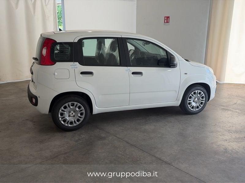FIAT Pandina 1NA My26 1.0 65cv Hybrid Pop