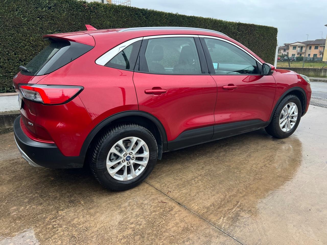 Ford Kuga 2.0 EcoBlue Hybrid 150 CV 2WD Titanium Business