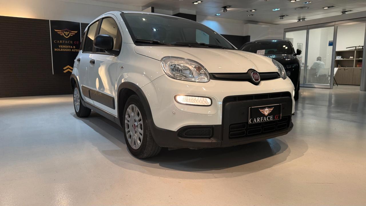 FIAT PANDA 1.0 70CV - 2023