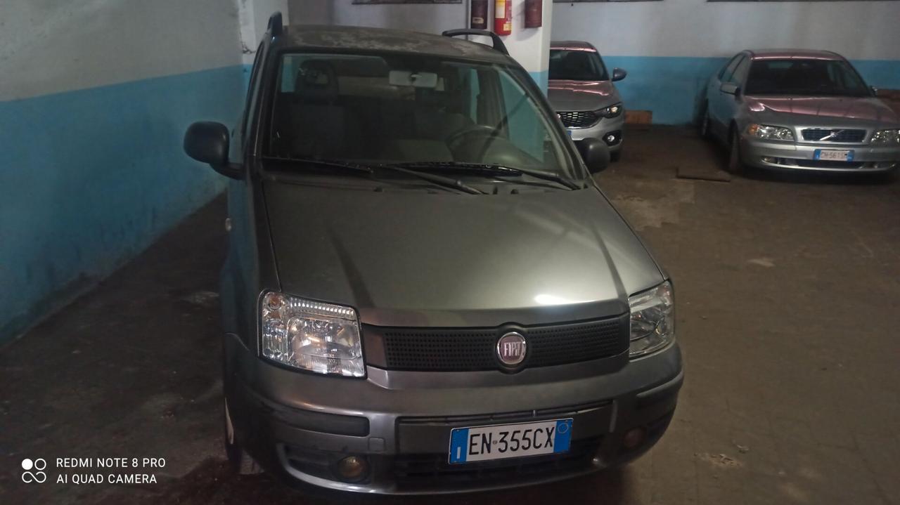 Fiat Panda 1.2 Emotion