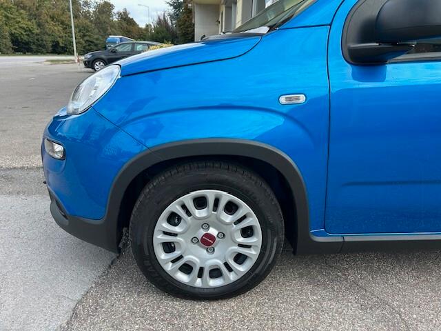 Fiat Panda Cross 1.0 FireFly S&S Hybrid KM ZERO OK NEOPATENTATI