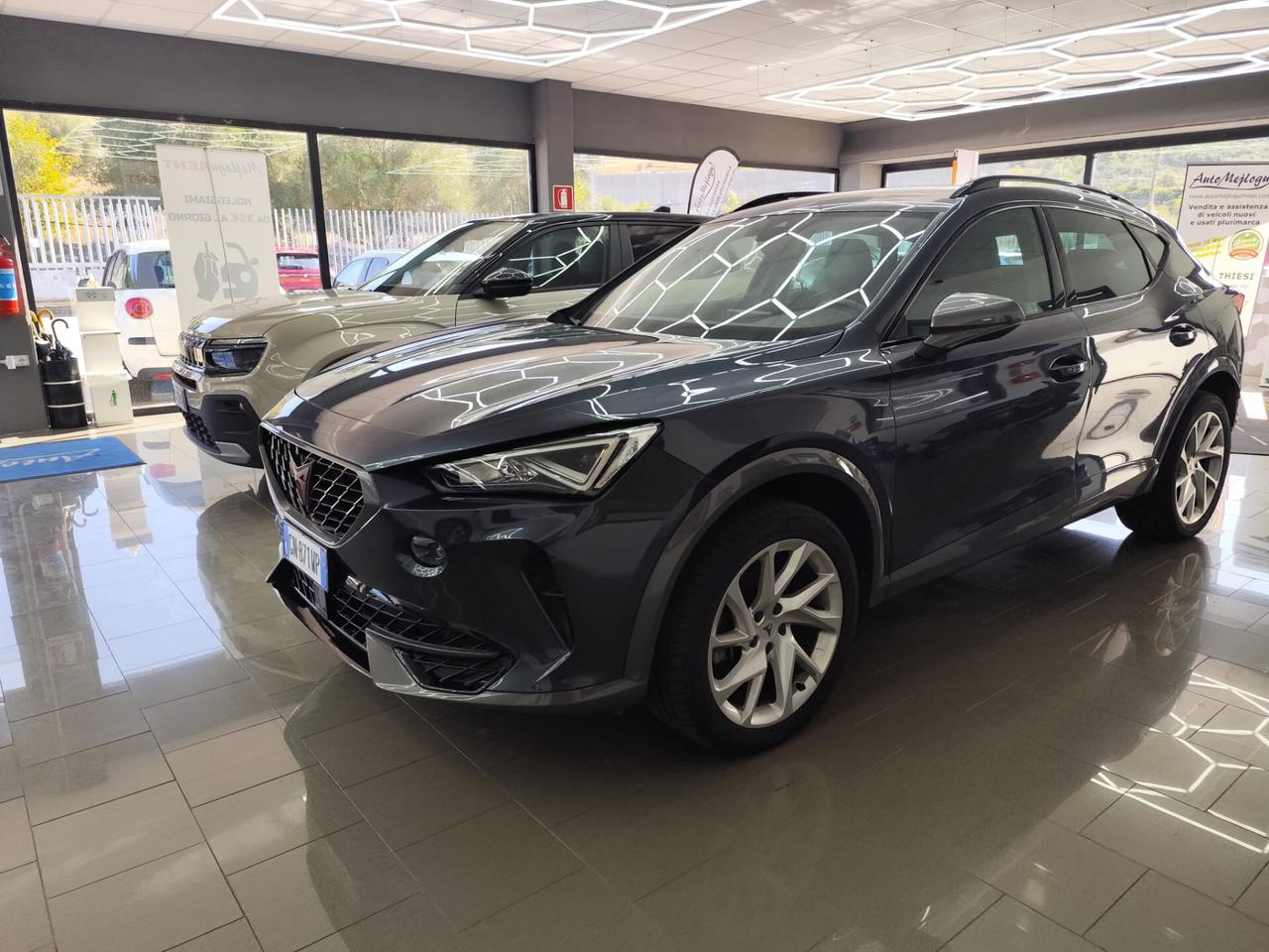 Cupra Formentor 2.0 TDI 4Drive DSG