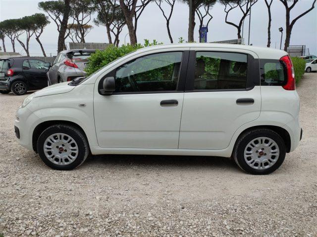 FIAT Panda 1.2 Easy CLIMATIZZATORE OK NEOPATENTATI ..