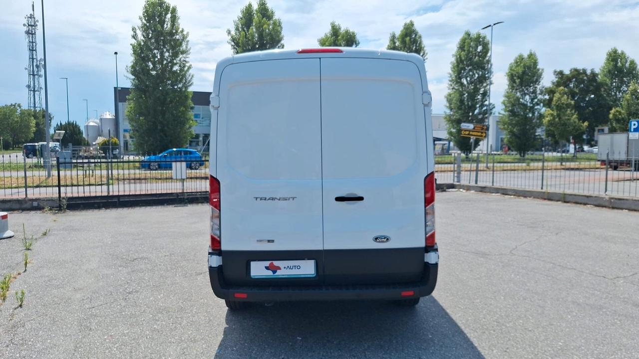 FORD TRANSIT 350 2.0 tdci MHEV 130CV TREND L2/H2 SOLI 25.000 KM