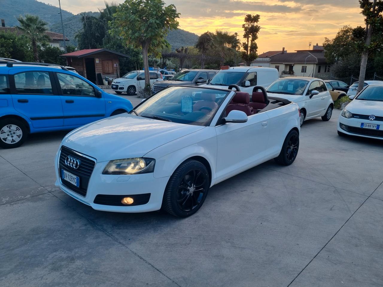 Audi A3 Cabrio 2.0 TDI F.AP. Ambition - 2009