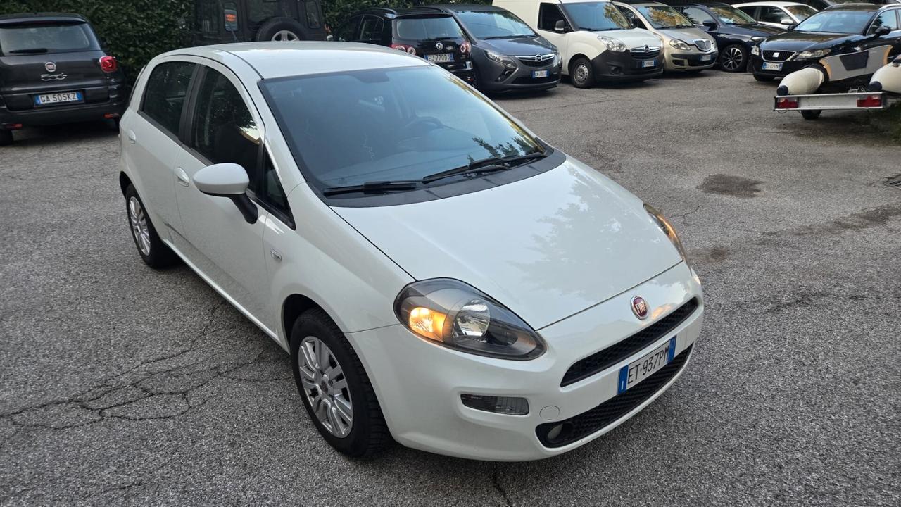 Fiat Punto 1.2 8V 5 porte Street Ok Neopatentati