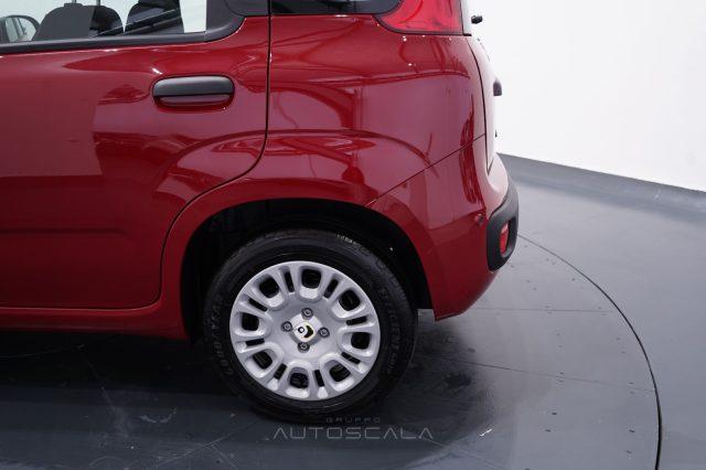 FIAT New Panda My25 1.0 FireFly S&S Hybrid