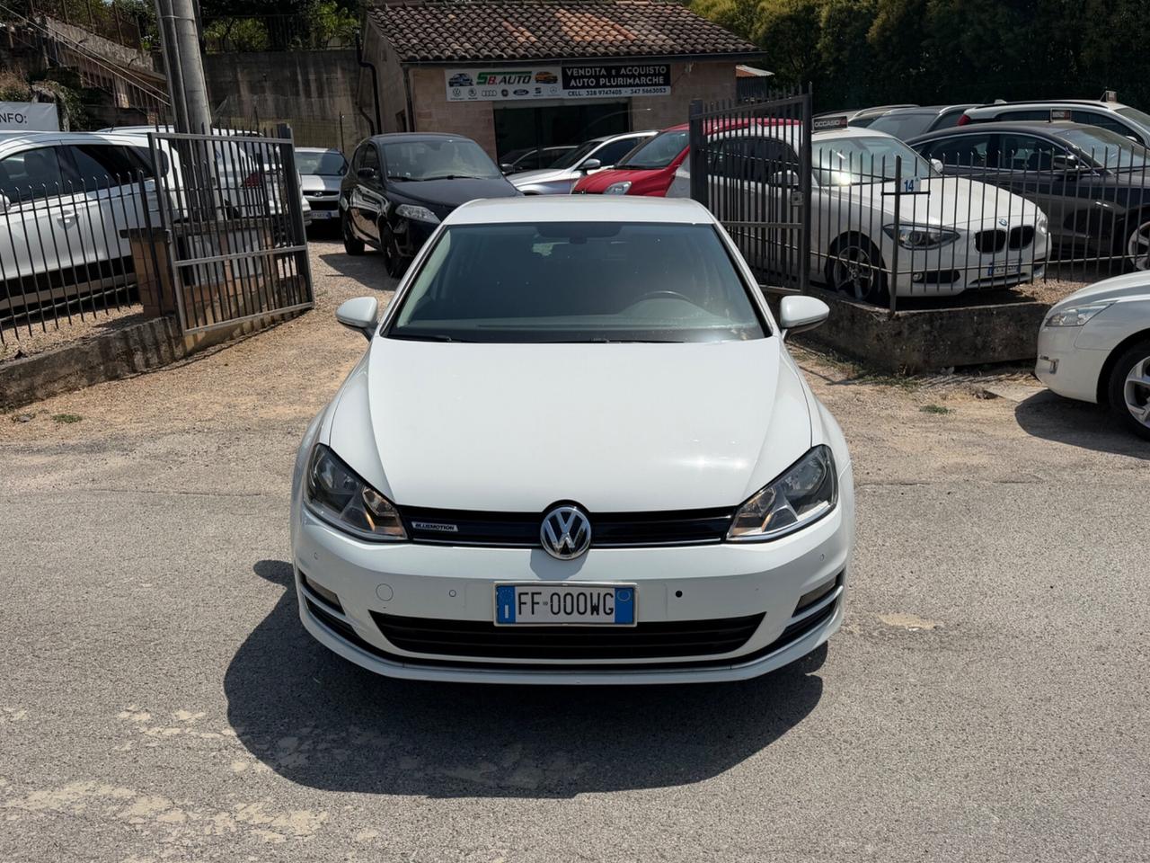 Volkswagen Golf 1.4 TGI DSG 5p. Executive BlueMotion