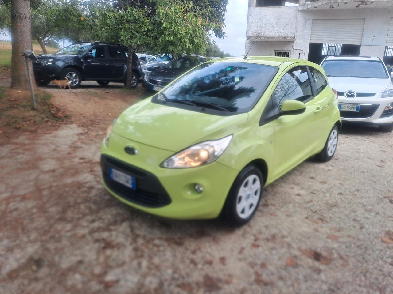 Ford Ka 1.2 8V 69CV Individual