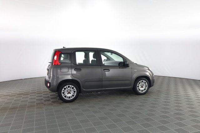 FIAT Panda Panda 1.0 FireFly 70cv S&S Hybrid E6d-Final EASY