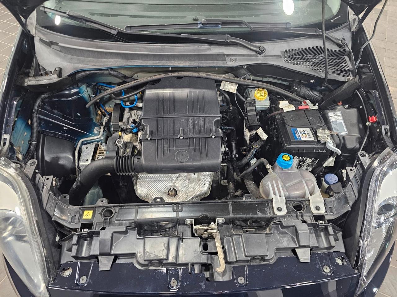 NUOVA FIAT PUNTO STREET LOUNGE 1.2 BENZ 70CV 5 PORTE