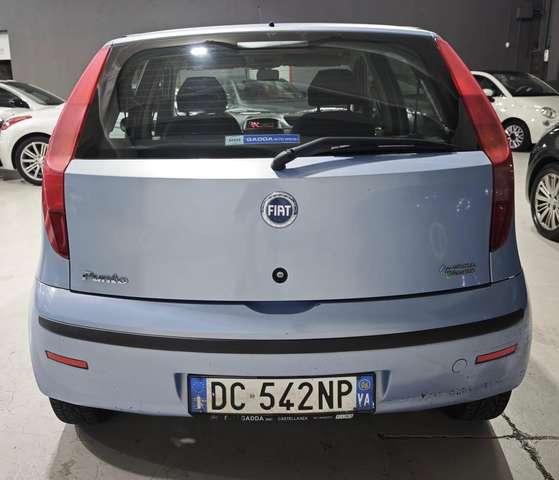 Fiat Punto Neopatentati Metano