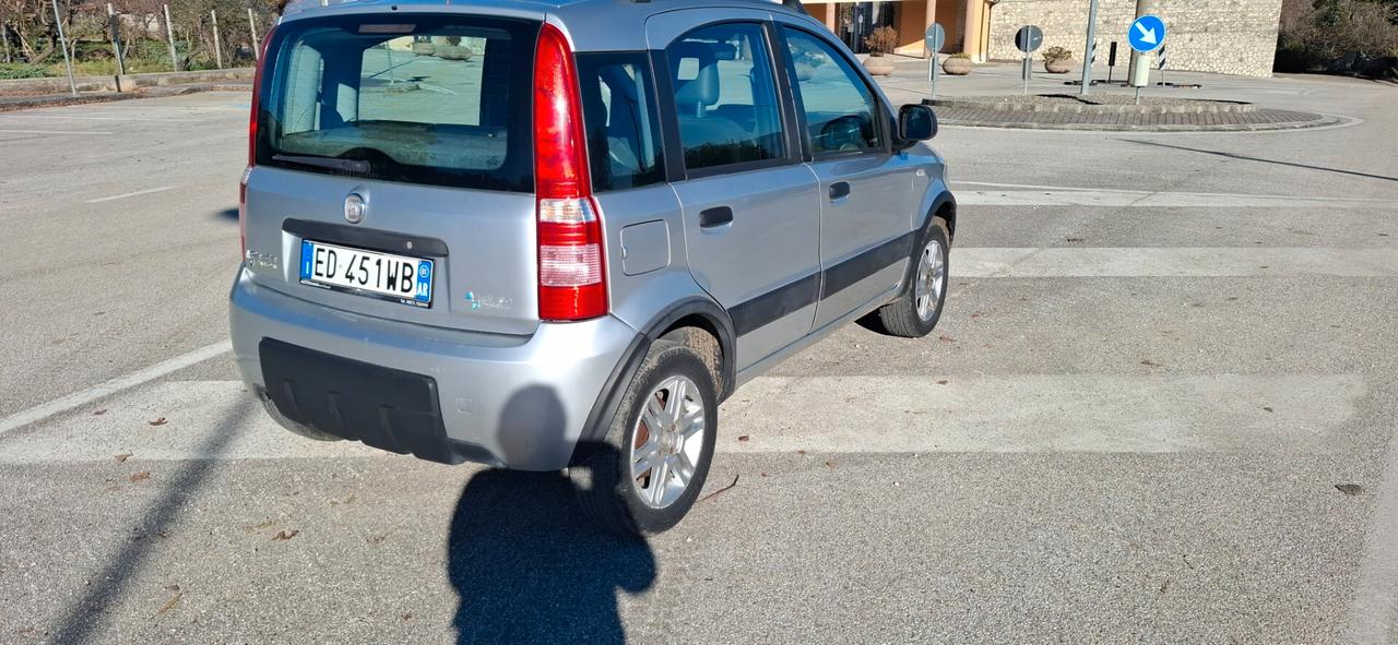 Fiat Panda 1.4 Climbing Natural Power