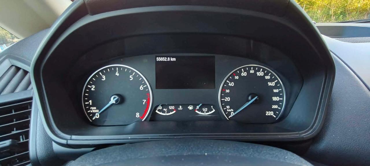 Ford EcoSport 1.0 EcoBoost 100 CV Business