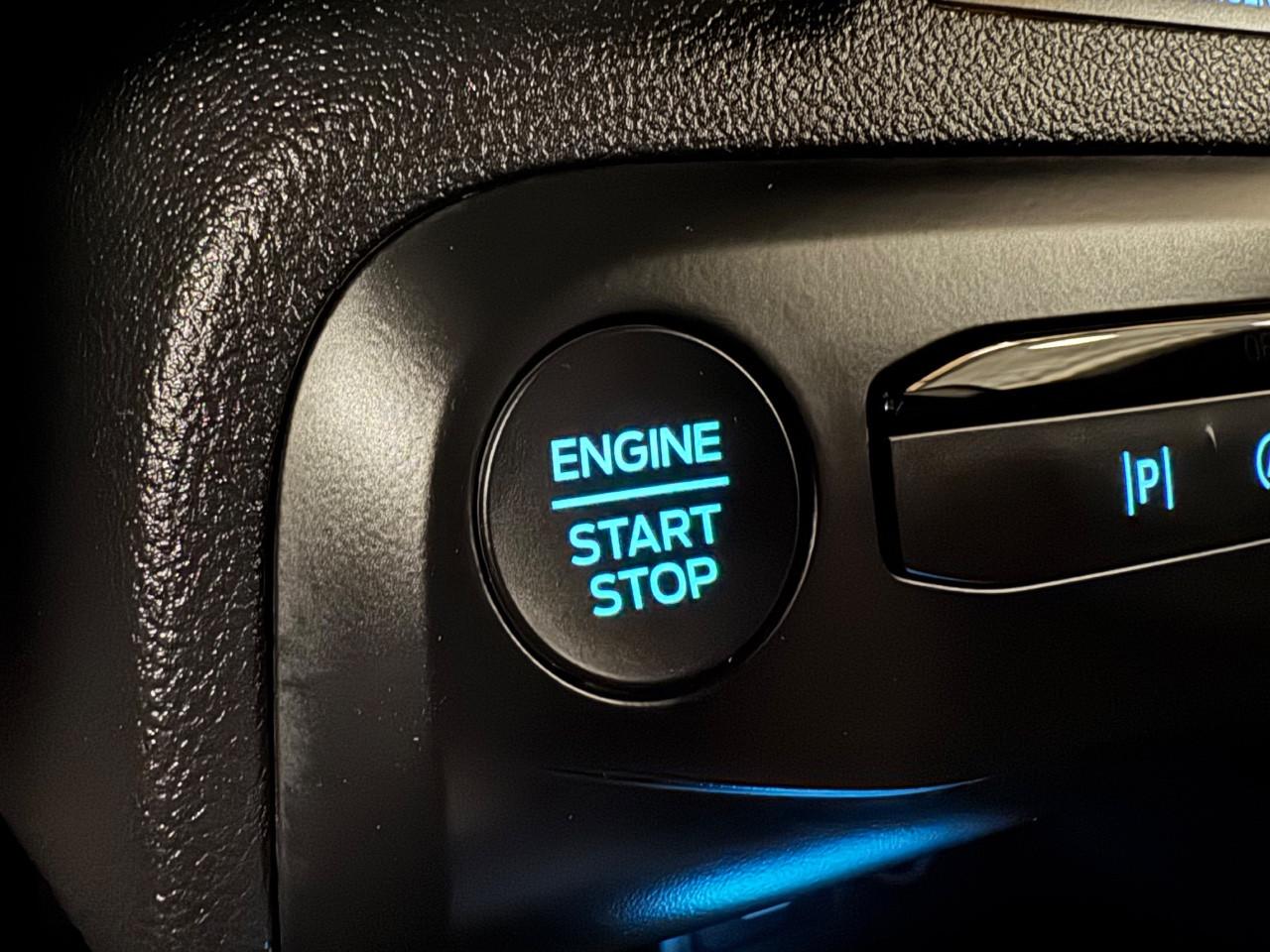 Ford Focus 1.5 ecoblue ST-Line 115cv auto