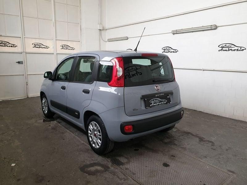 FIAT Panda 1.2 EasyPower Easy DA 129,00 AL MESE