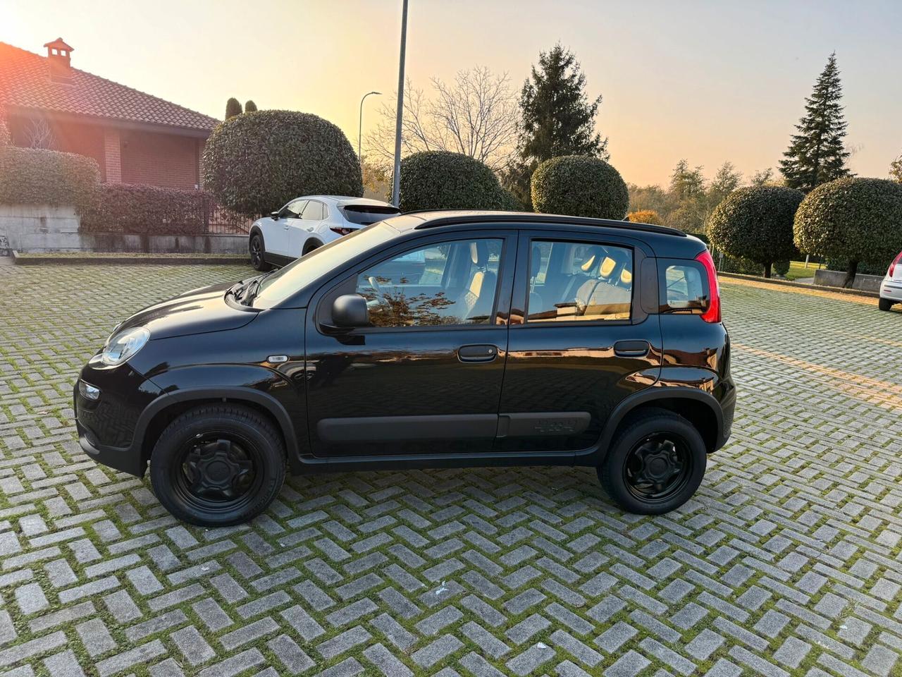 Fiat Panda 0.9 TwinAir Turbo S&S 4x4