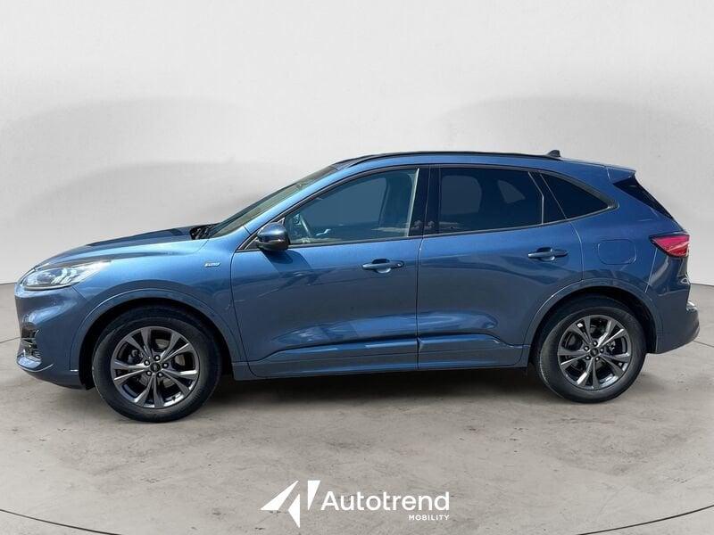 Ford Kuga 1.5 EcoBlue 120 CV Automatica 2WD ST-Line N1 Autocarro