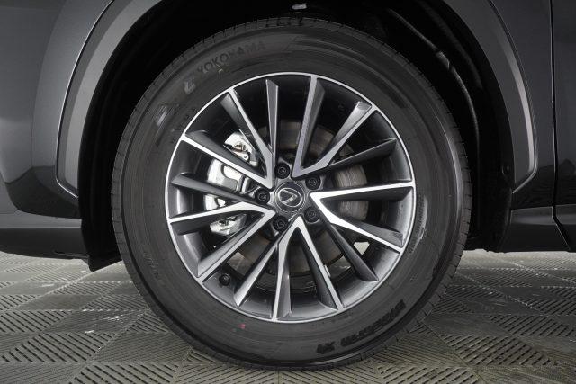 LEXUS Other NX NX Hybrid 4WD Business