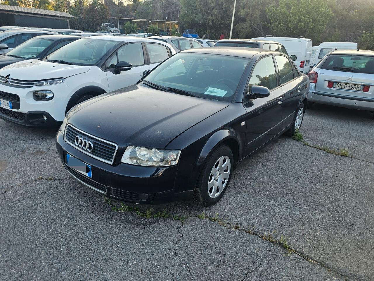 Audi A4 1.9 TDI/130 CV cat quattro
