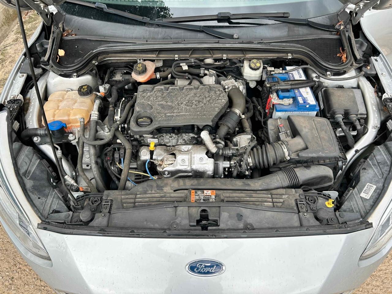 Ford Focus 1.5 TDCi 120CV - 2019 Motore Rotto