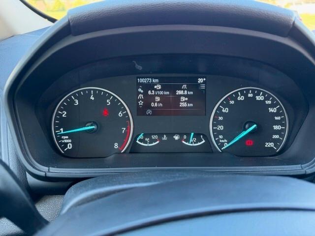 Ford EcoSport 1.0 EcoBoost 100 CV Business