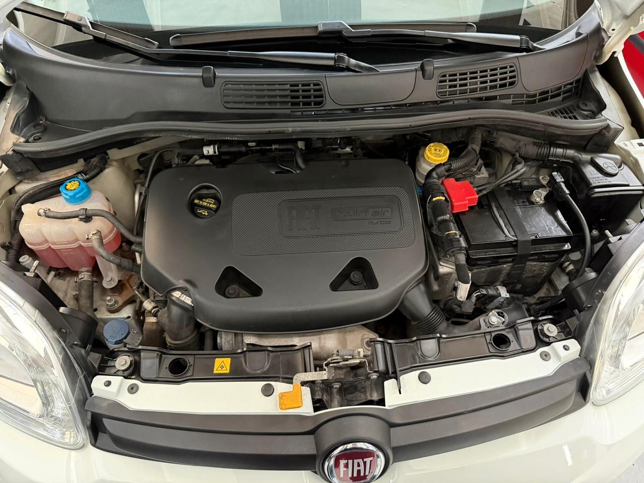 Fiat Panda Turbo S&S 4x4 Wild IVA ESPOSTA!