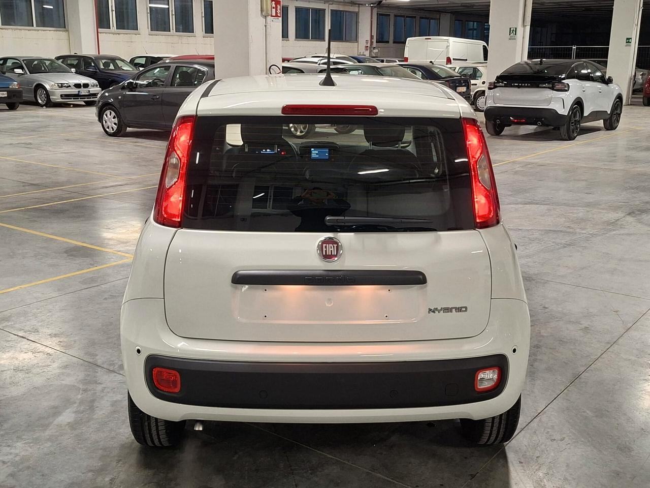 Fiat Panda 1.0 FireFly Hybrid 70CV Icon Km.0 (296)