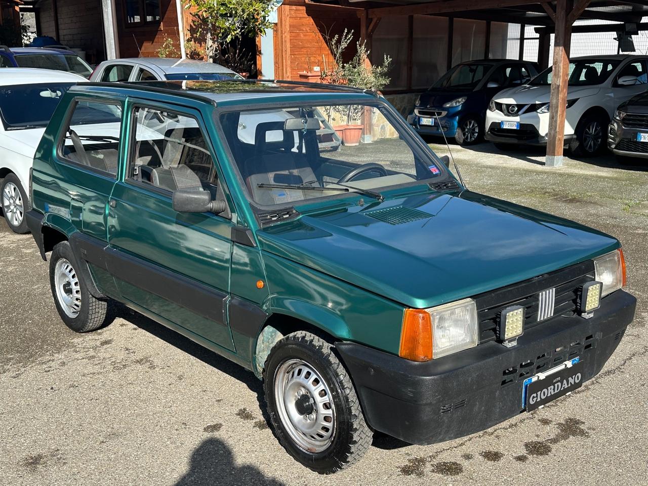 Fiat Panda 1100 i.e. cat Young