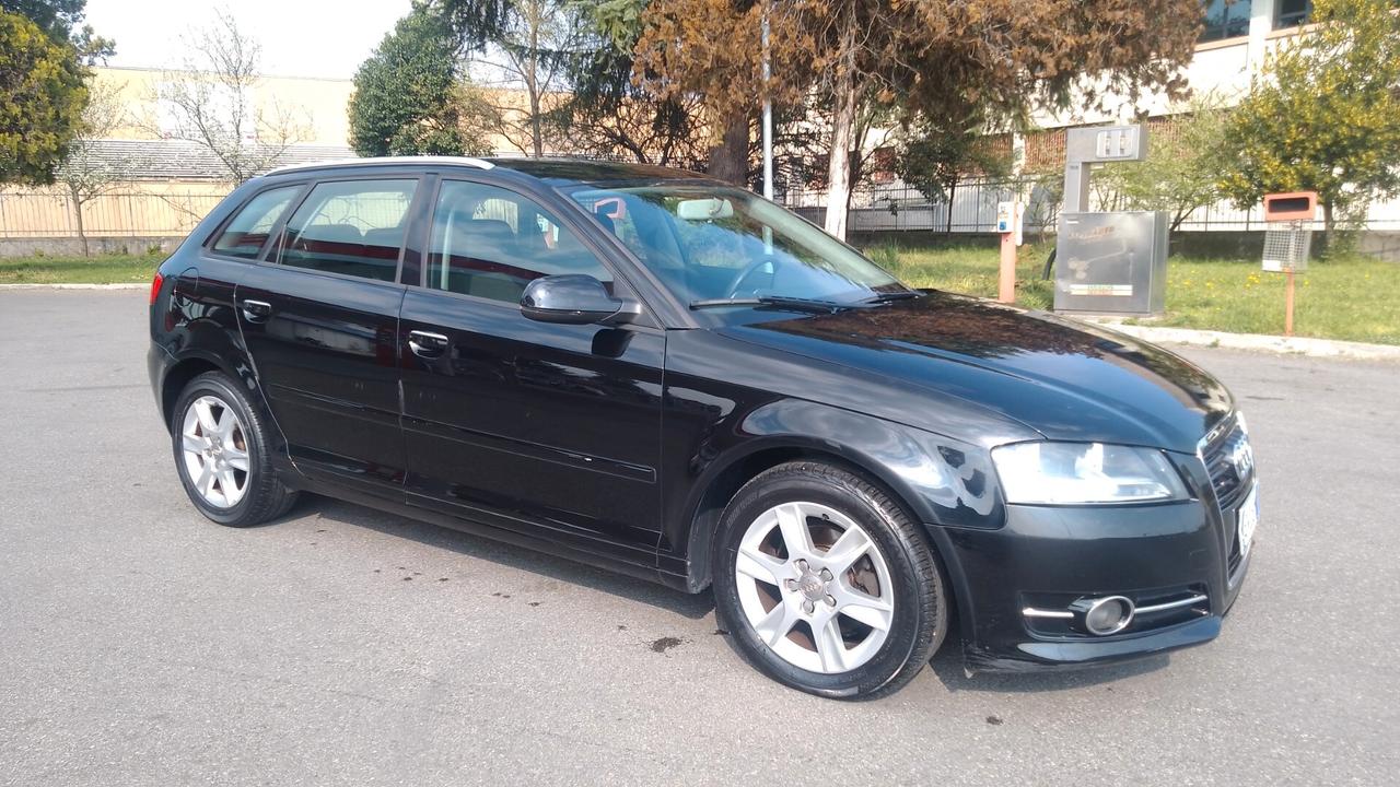 Audi A3 SPB 1.6 TDI 90 CV CR F.AP NEOP 12