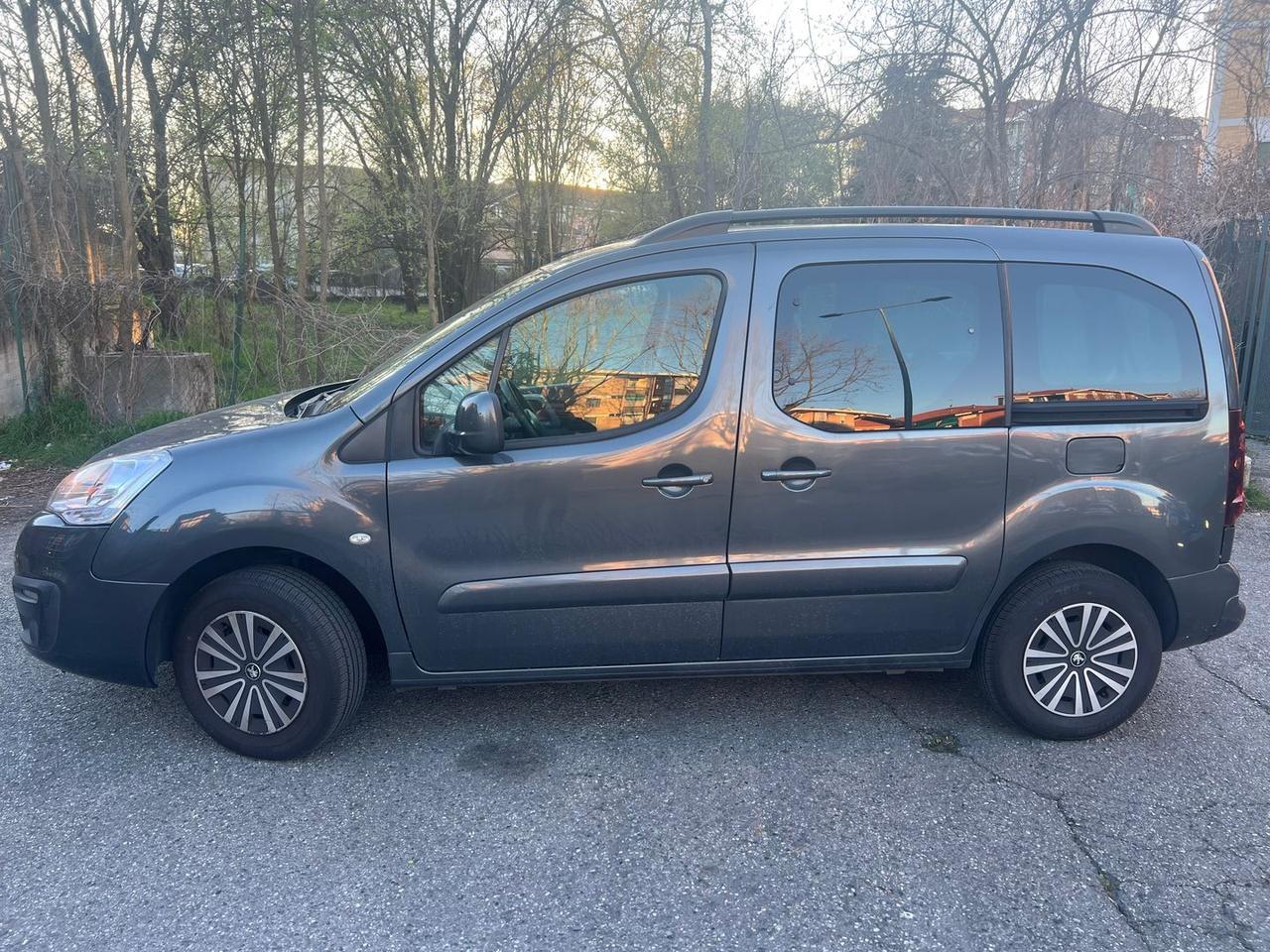 Peugeot Partner Active 1.6 Blue HDI 120 #10098