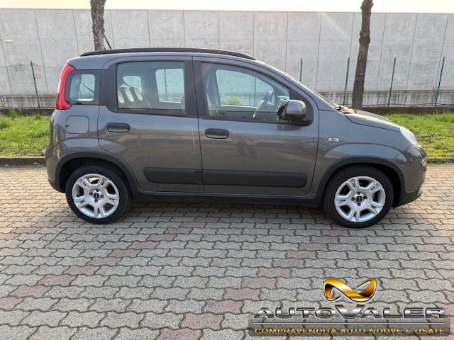 FIAT Panda 1.0 firefly hybrid City Life s&s 70cv 5p.ti