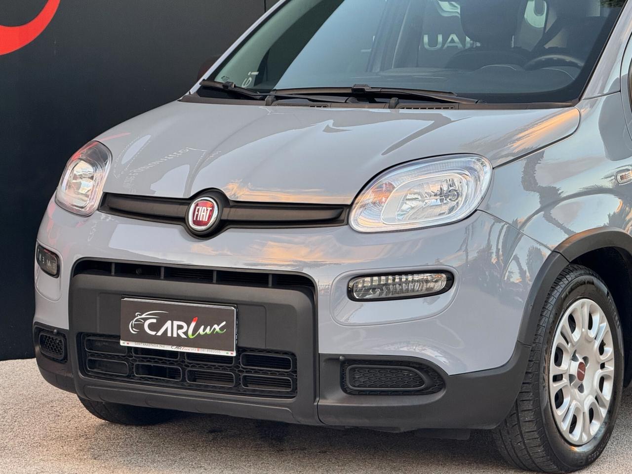 Fiat Panda 1.0 Firefly Hybrid S 70CV MY23