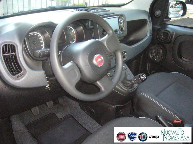 FIAT Panda 1.0 FireFly S&S Hybrid My24 Radio Fiat Km0