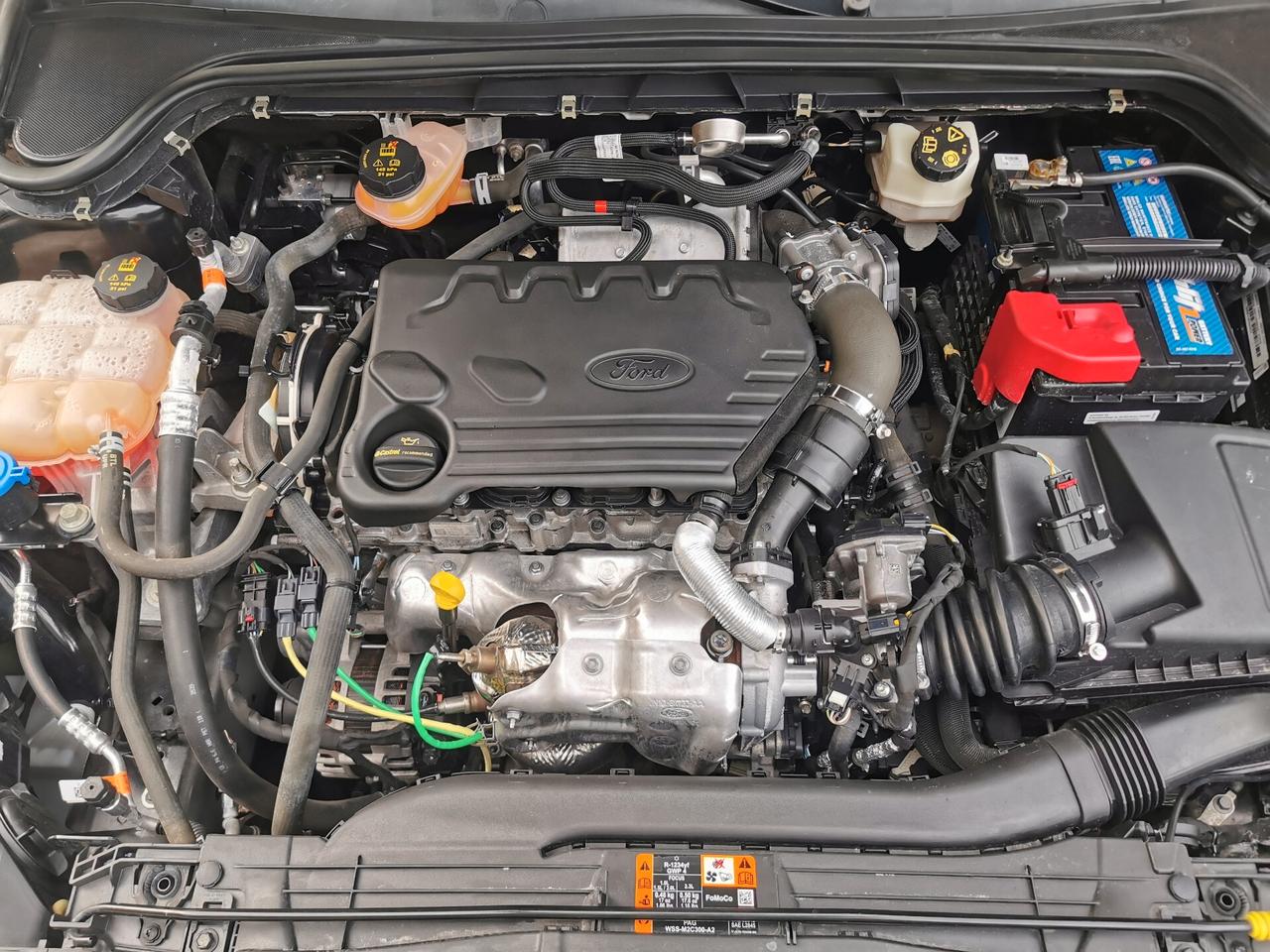 Ford Focus 1.5 EcoBlue 120cv aut.5p. ST-Line Co-Pilot