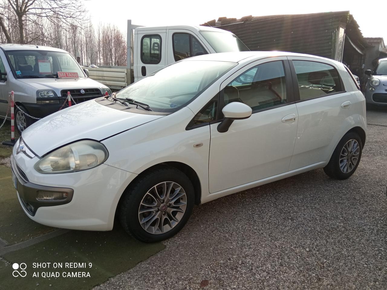 Fiat Punto Evo Punto Evo 1.3 Mjt 75 CV 5p S&S neopatentati