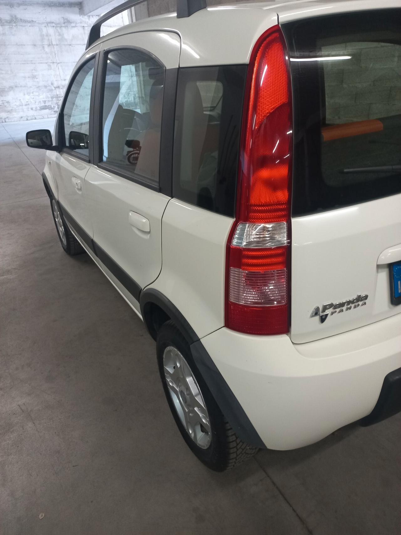 Fiat Panda 1.2 Climbing Natural Power