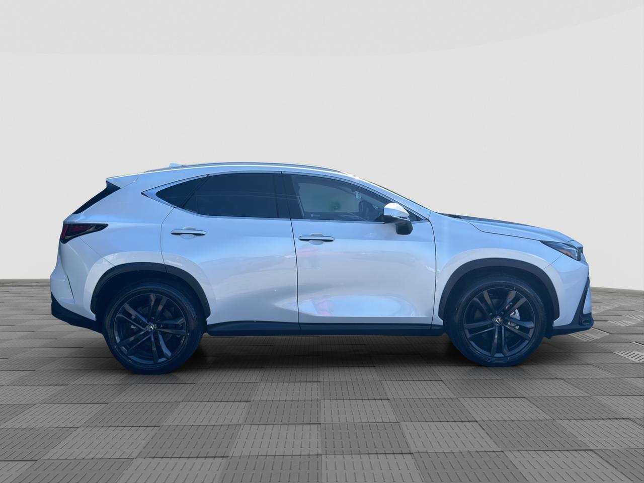 LEXUS NX 2ª serie NX Hybrid 4WD Premium +